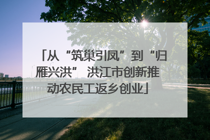 从“筑巢引凤”到“归雁兴洪” 洪江市创新推动农民工返乡创业
