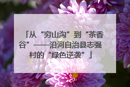 从“穷山沟”到“茶香谷”——沿河自治县志强村的“绿色逆袭”