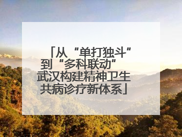 从“单打独斗”到“多科联动” 武汉构建精神卫生共病诊疗新体系