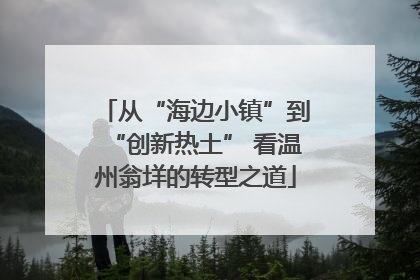 从“海边小镇”到“创新热土” 看温州翁垟的转型之道