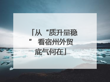 从“质升量稳” 看宿州外贸底气何在