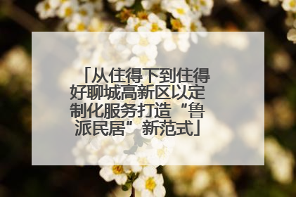从住得下到住得好聊城高新区以定制化服务打造“鲁派民居”新范式