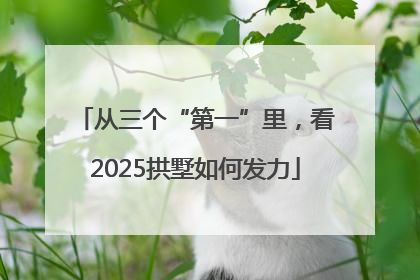 从三个“第一”里，看2025拱墅如何发力