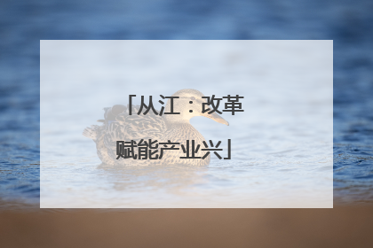 从江：改革赋能产业兴