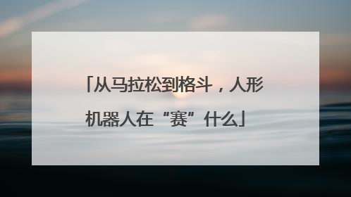 从马拉松到格斗，人形机器人在“赛”什么