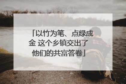 以竹为笔、点绿成金 这个乡镇交出了他们的共富答卷