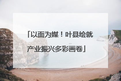 以面为媒！叶县绘就产业振兴多彩画卷