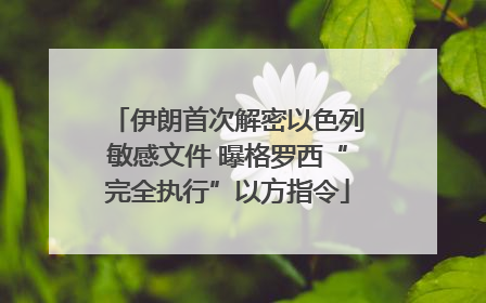 伊朗首次解密以色列敏感文件 曝格罗西“完全执行”以方指令