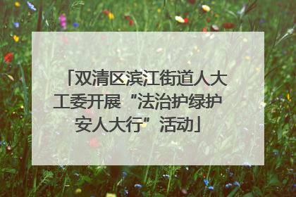 双清区滨江街道人大工委开展“法治护绿护安人大行”活动