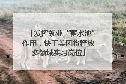 发挥就业“蓄水池”作用，快手美团将释放多领域实习岗位