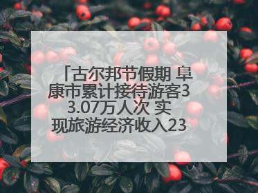 古尔邦节假期 阜康市累计接待游客33.07万人次 实现旅游经济收入23161万元