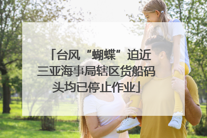 台风“蝴蝶”迫近 三亚海事局辖区货船码头均已停止作业