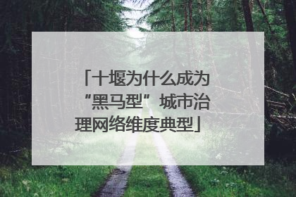 十堰为什么成为“黑马型”城市治理网络维度典型