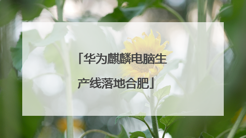 华为麒麟电脑生产线落地合肥