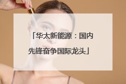 华太新能源：国内先锋奋争国际龙头