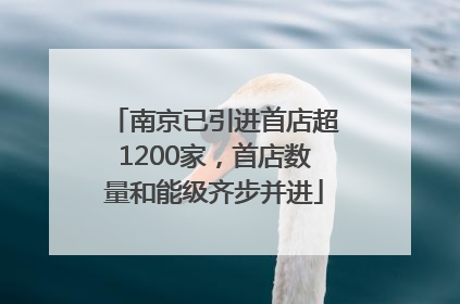 南京已引进首店超1200家，首店数量和能级齐步并进