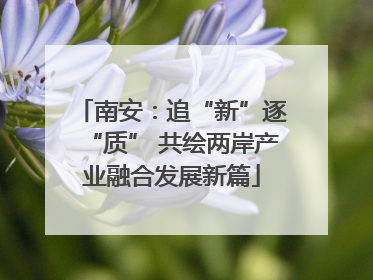 南安：追“新”逐“质” 共绘两岸产业融合发展新篇