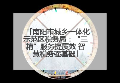 南阳市城乡一体化示范区税务局：“三精”服务提质效 智慧税务强基础