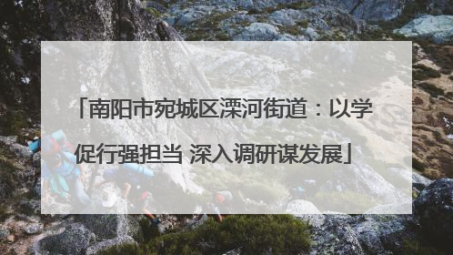 南阳市宛城区溧河街道：以学促行强担当 深入调研谋发展