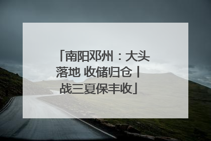 南阳邓州：大头落地 收储归仓丨战三夏保丰收