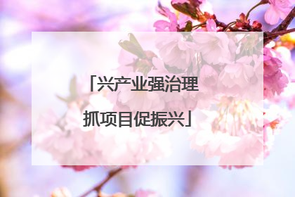 兴产业强治理 抓项目促振兴
