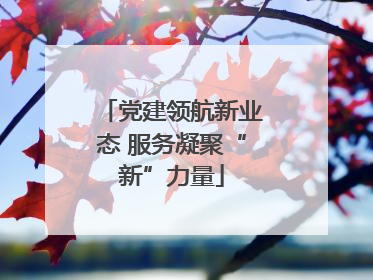党建领航新业态 服务凝聚“新”力量