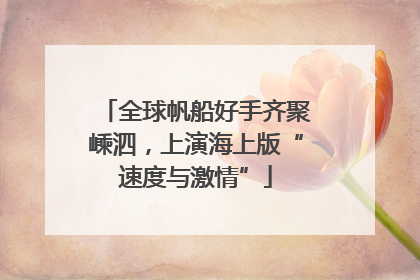 全球帆船好手齐聚嵊泗，上演海上版“速度与激情”