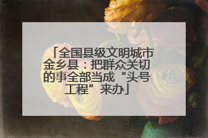 全国县级文明城市金乡县：把群众关切的事全部当成“头号工程”来办