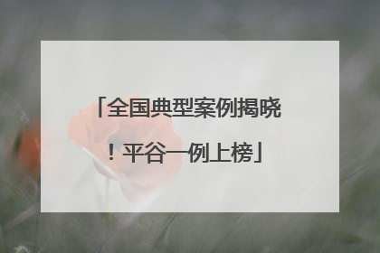 全国典型案例揭晓！平谷一例上榜