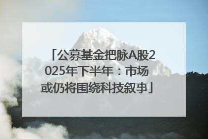 公募基金把脉A股2025年下半年：市场或仍将围绕科技叙事