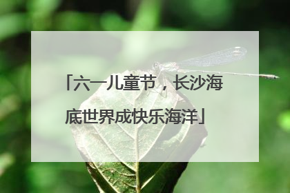 六一儿童节，长沙海底世界成快乐海洋