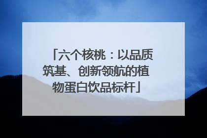 六个核桃：以品质筑基、创新领航的植物蛋白饮品标杆