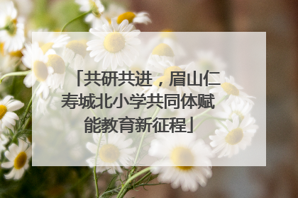 共研共进，眉山仁寿城北小学共同体赋能教育新征程