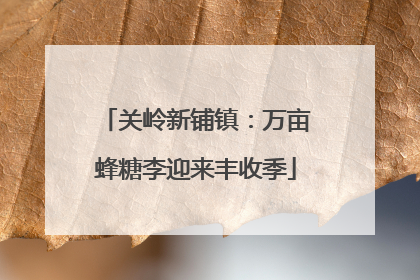关岭新铺镇：万亩蜂糖李迎来丰收季