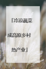 冷凉蔬菜成高原乡村热产业
