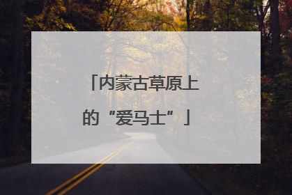 内蒙古草原上的“爱马士”