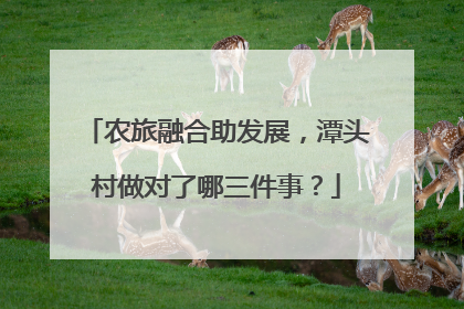农旅融合助发展，潭头村做对了哪三件事？