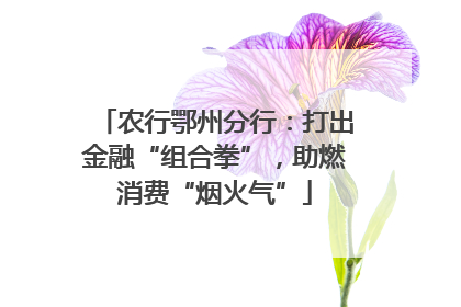 农行鄂州分行：打出金融“组合拳”，助燃消费“烟火气”
