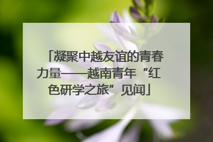 凝聚中越友谊的青春力量——越南青年“红色研学之旅”见闻