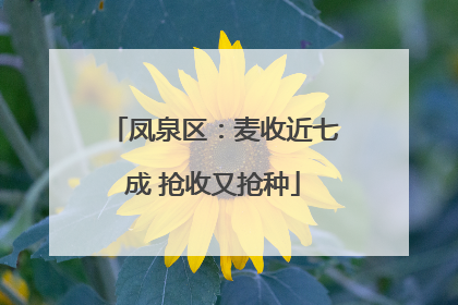 凤泉区：麦收近七成 抢收又抢种