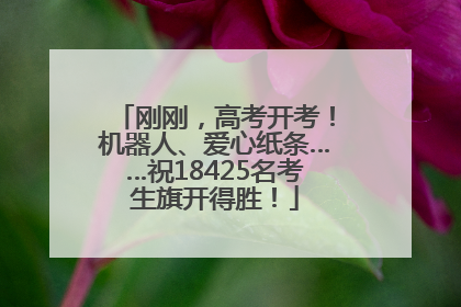 刚刚，高考开考！机器人、爱心纸条……祝18425名考生旗开得胜！