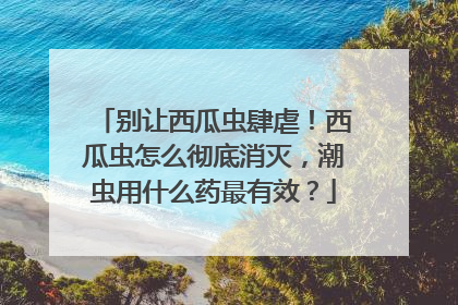 别让西瓜虫肆虐！西瓜虫怎么彻底消灭，潮虫用什么药最有效？