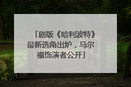 剧版《哈利波特》最新选角出炉，马尔福饰演者公开