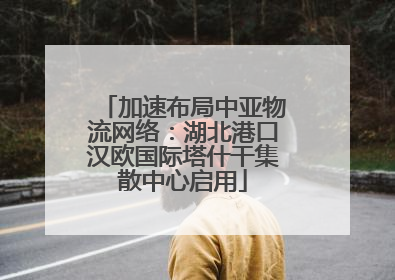 加速布局中亚物流网络：湖北港口汉欧国际塔什干集散中心启用