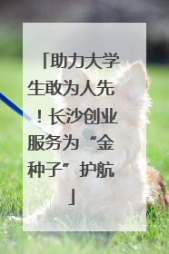 助力大学生敢为人先！长沙创业服务为“金种子”护航