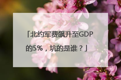 北约军费飙升至GDP的5%，坑的是谁？