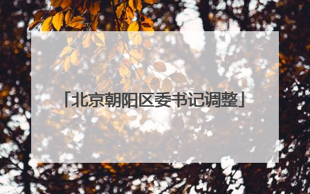 北京朝阳区委书记调整