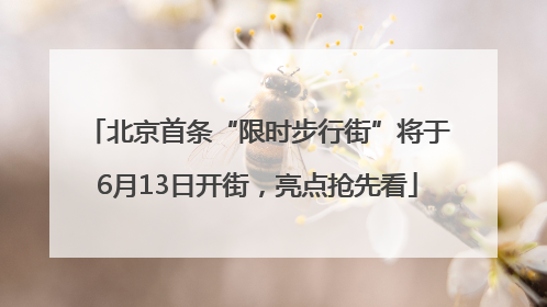 北京首条“限时步行街”将于6月13日开街，亮点抢先看