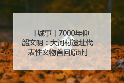 城事｜7000年仰韶文明：大河村遗址代表性文物首回原址