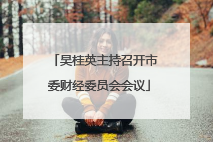 吴桂英主持召开市委财经委员会会议